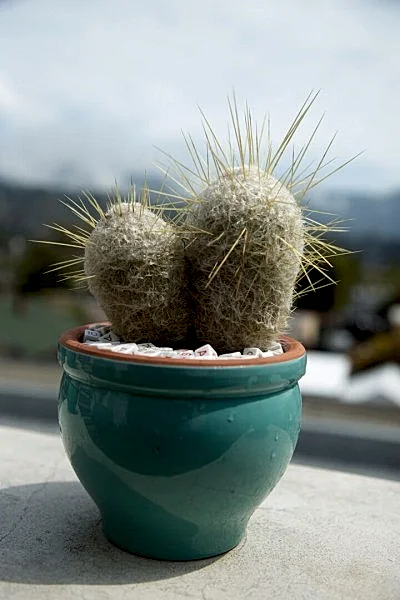 Photo 30