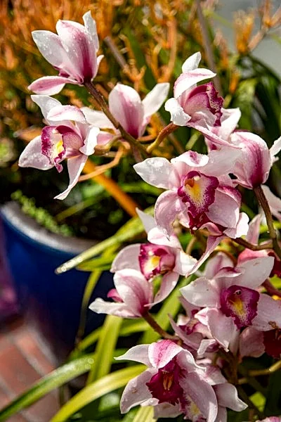 Photo 32