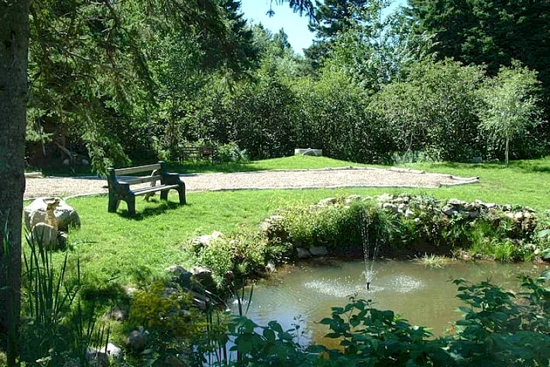 Photo 11