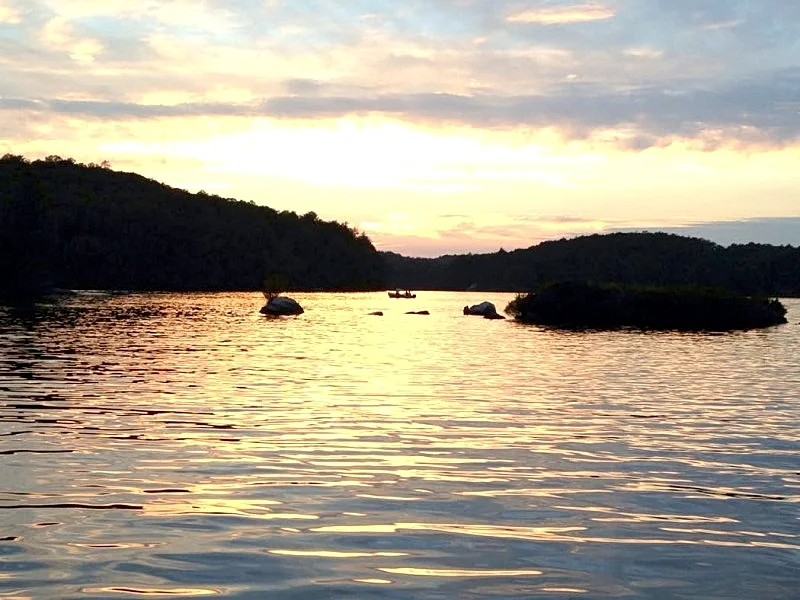 Photo 38
