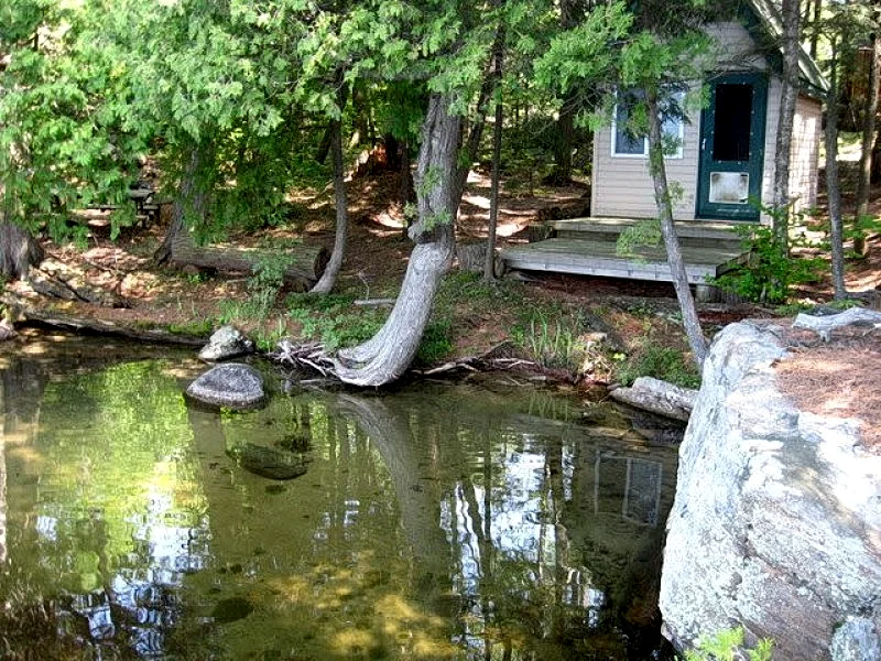 Photo 31