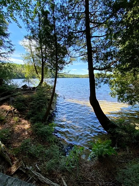 Photo 33