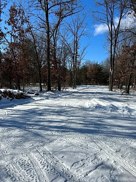 Photo 49