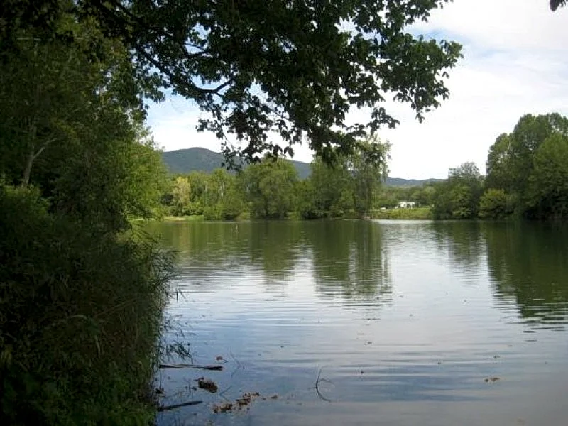 Photo 32