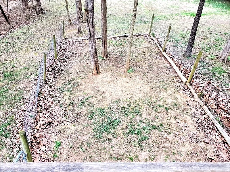 Photo 42