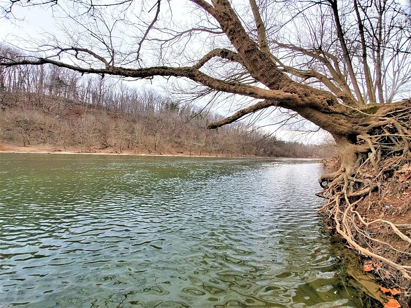 Photo 48