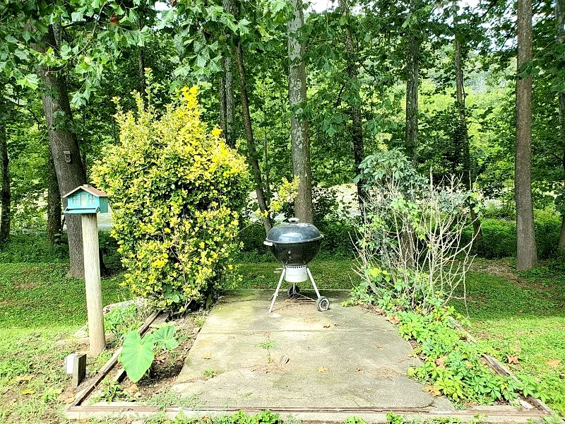 Photo 22
