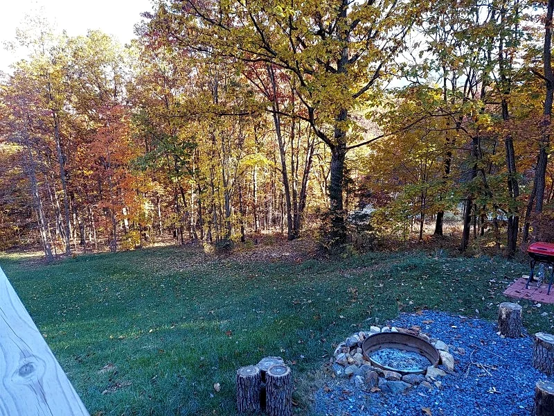 Photo 42