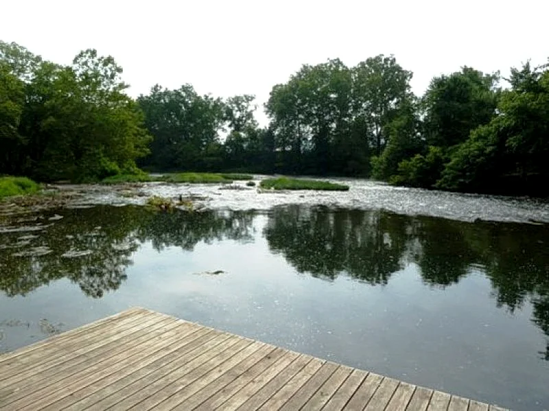 Photo 31