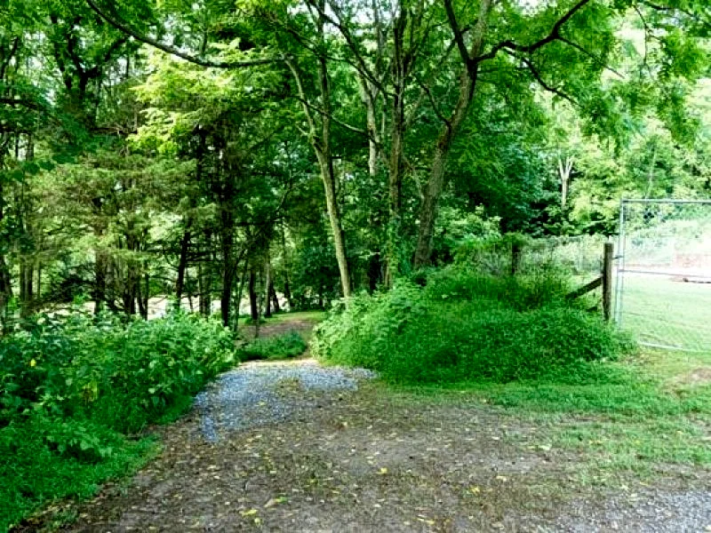 Photo 25