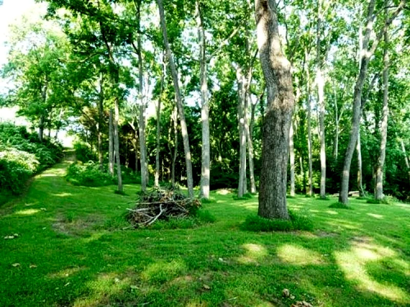 Photo 27