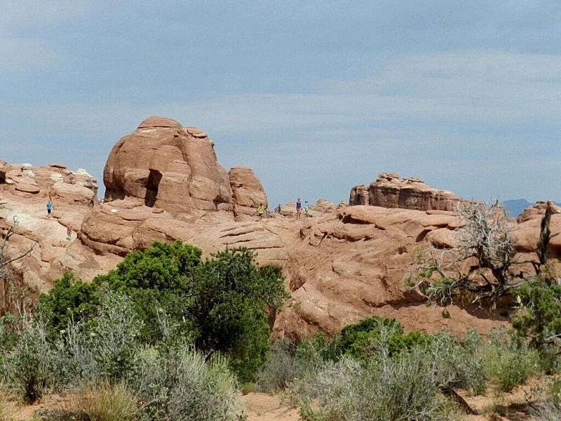 Photo 16