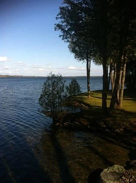 Photo 29