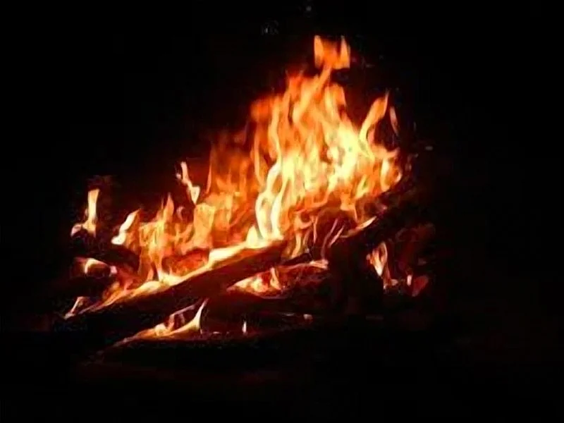 Photo 26