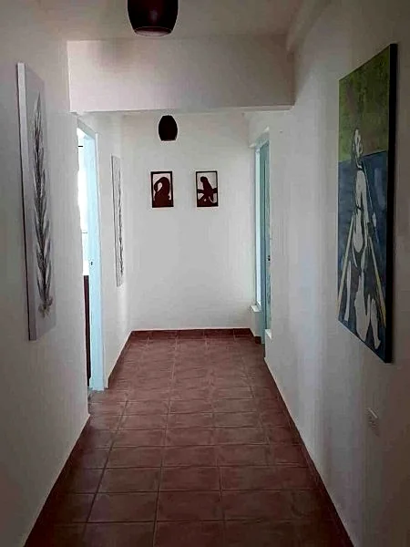 Photo 43