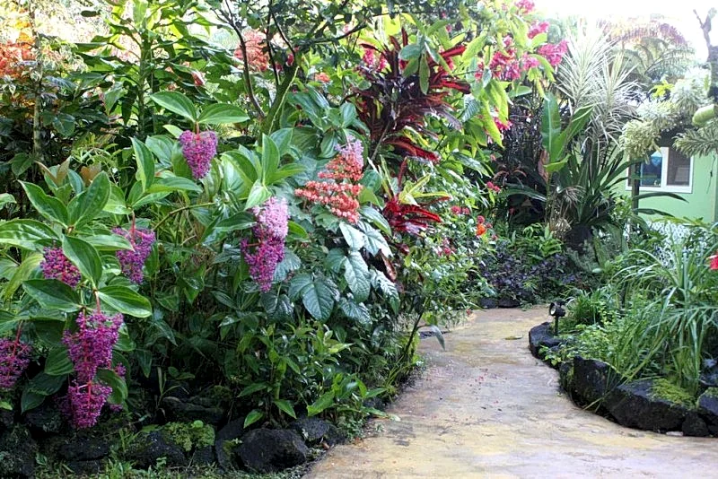 Photo 22