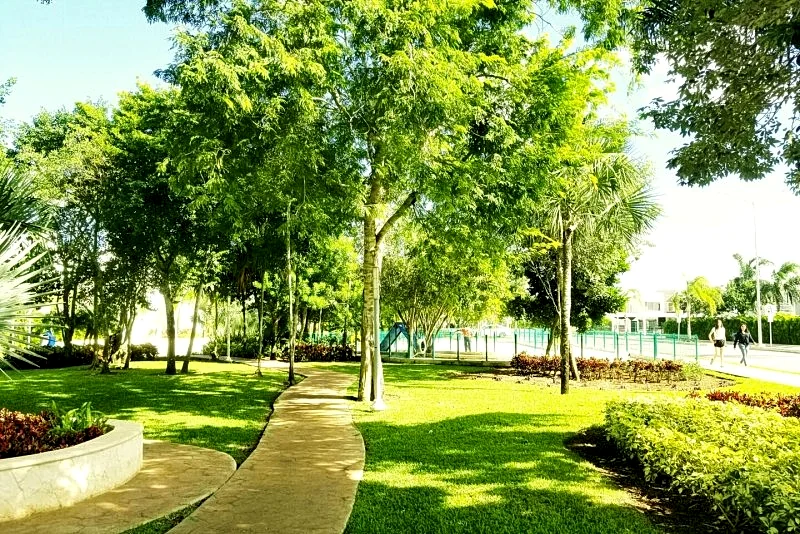 Photo 19