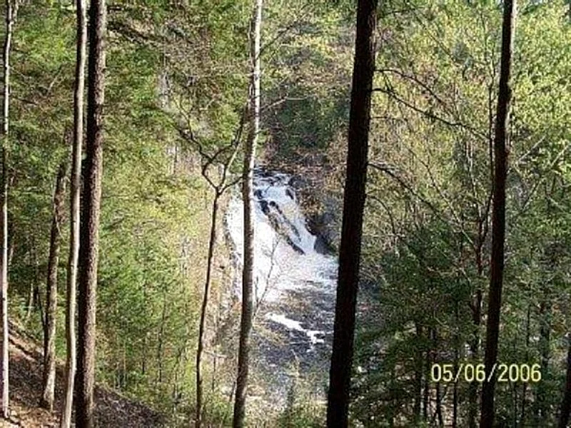 Photo 28