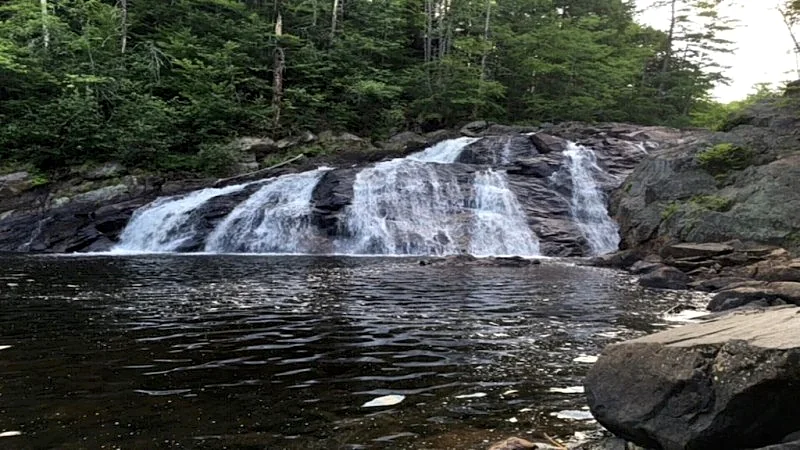 Photo 25