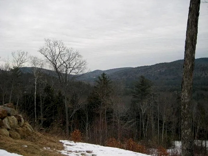 Photo 19