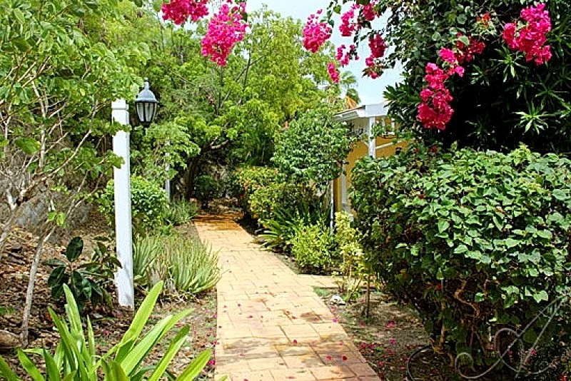 Photo 6