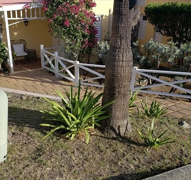 Photo 25