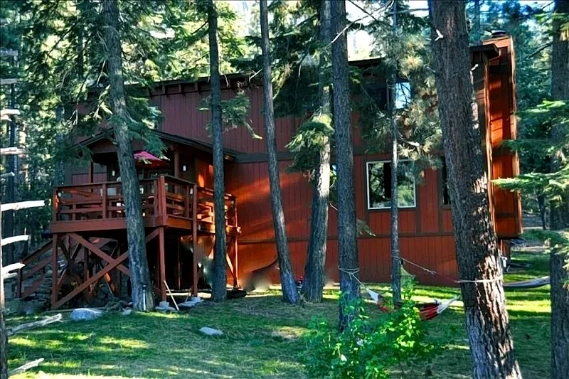 Close To Everything, but Away From It All! Pet Friendly Paradise Forest Back
