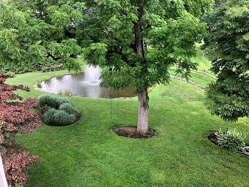 Photo 26