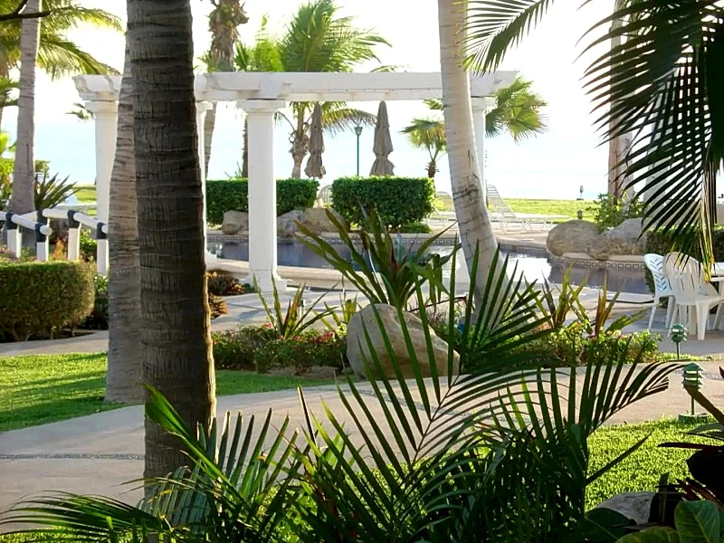 Photo 22