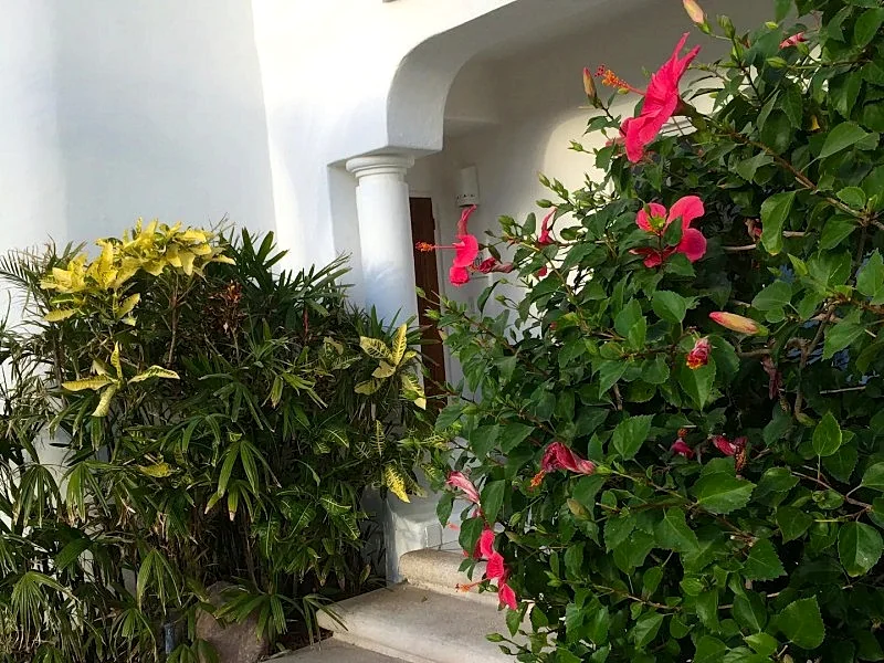 Photo 41