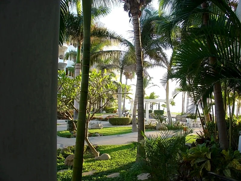 Photo 31