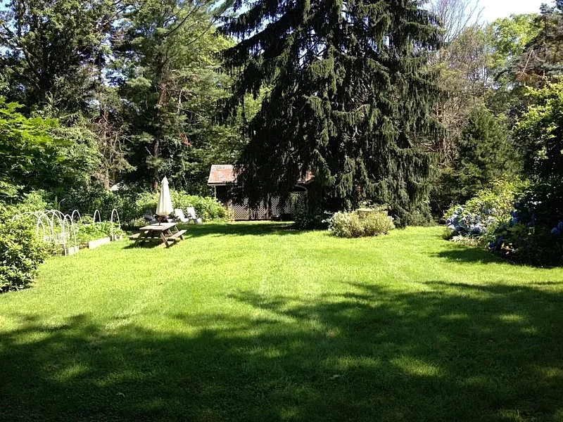 Photo 38