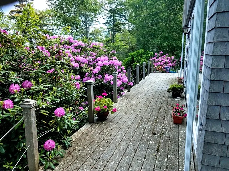 Photo 22