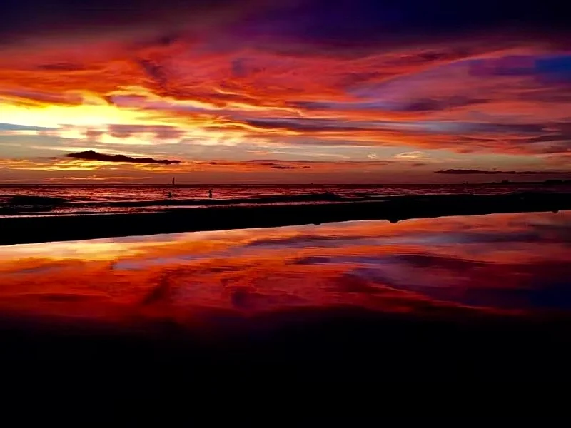 Luxury Siesta Key Beachfront Oasis-STEPS TO WORLD FAMOUS SIESTA KEY SAND