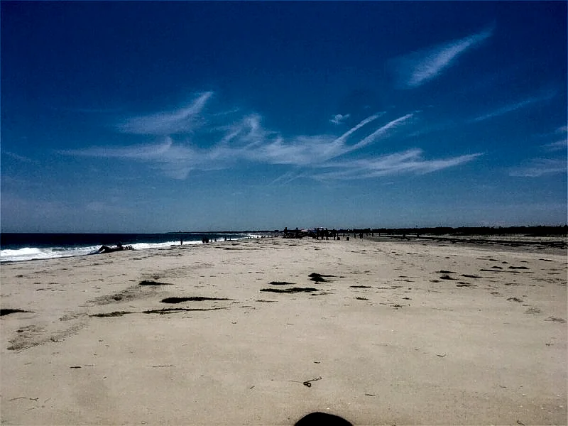 Photo 46
