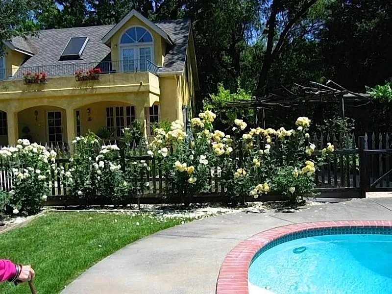 Photo 7