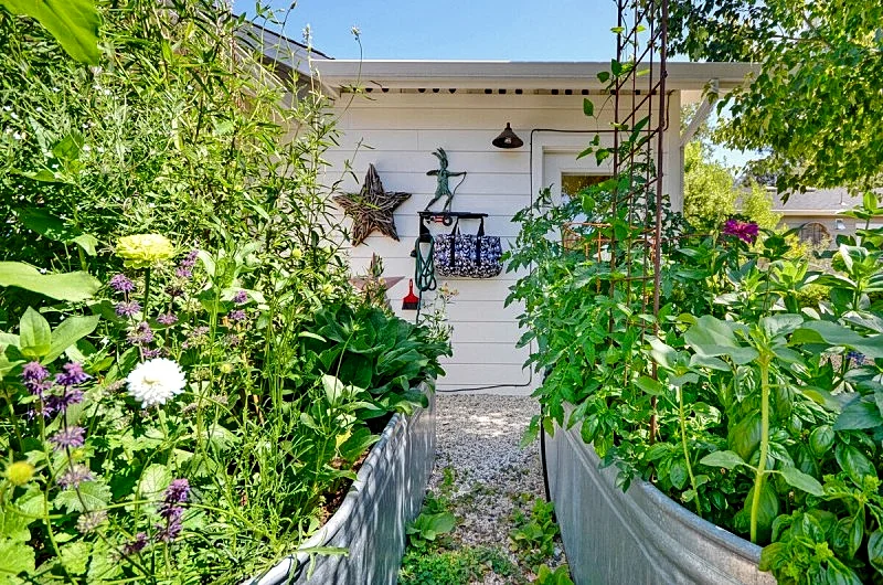 Photo 25
