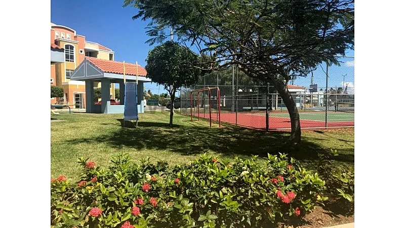 Photo 19