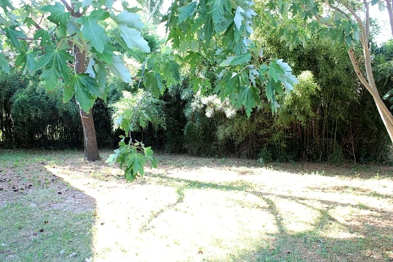 Photo 42
