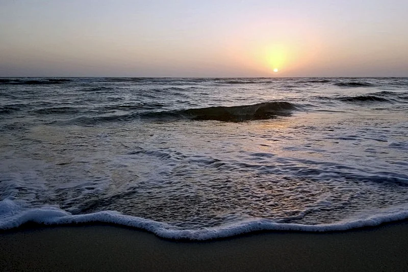 Photo 44