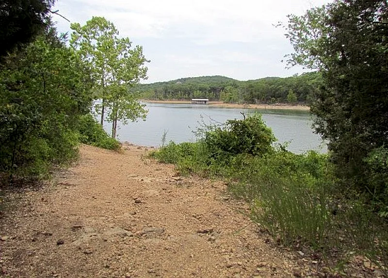 Photo 42