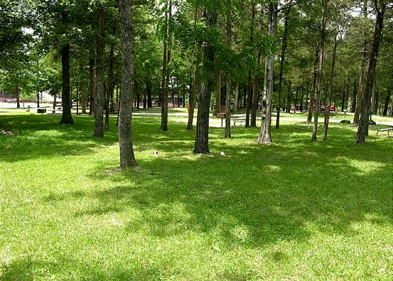 Photo 32