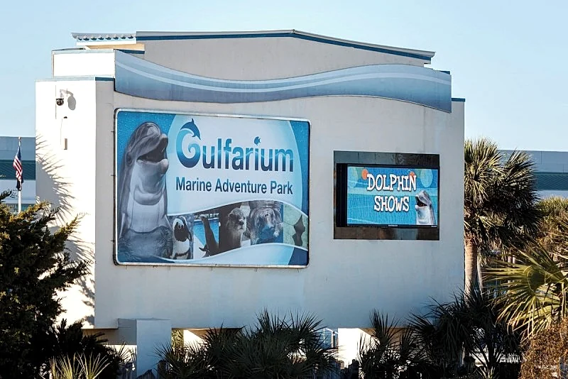 Photo 57
