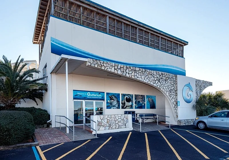 Photo 54