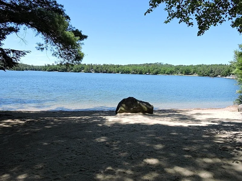 Photo 23