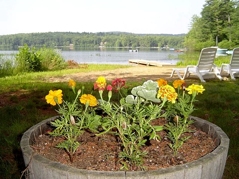 Photo 20