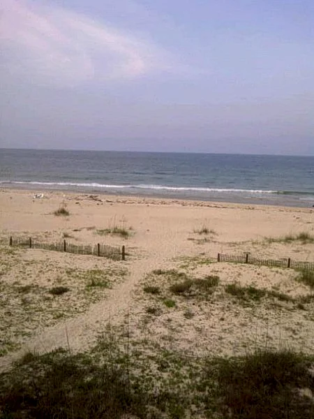 Photo 24