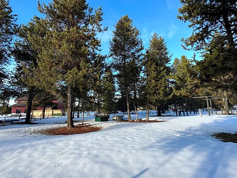 Photo 47
