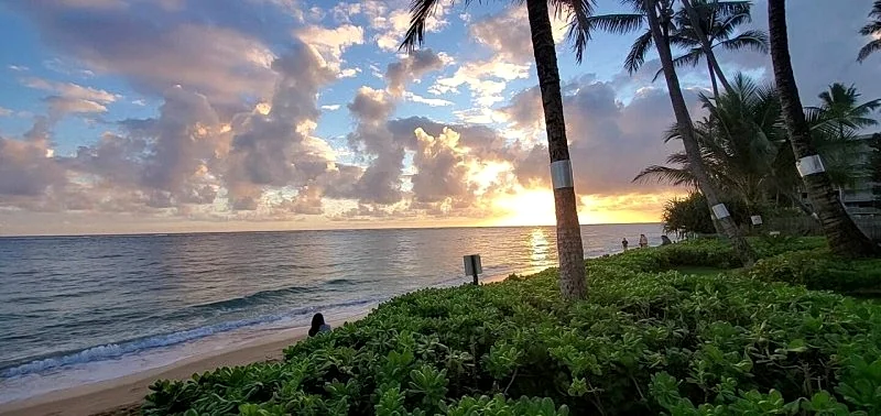 Beach Front Condo w/ Beautiful Sunrises on Private Sandy Beach + Turtles + Perfect Snorkel Spot