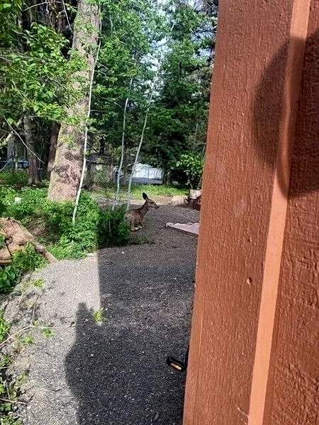 Photo 30